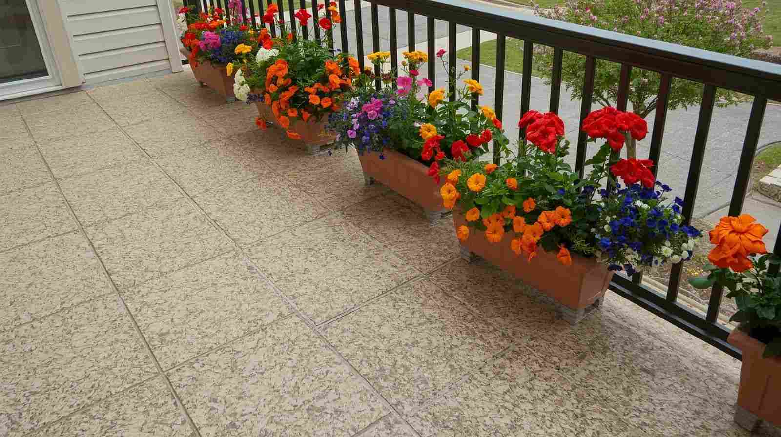 Flower Boxes on Neutral-toned Granite Tiles